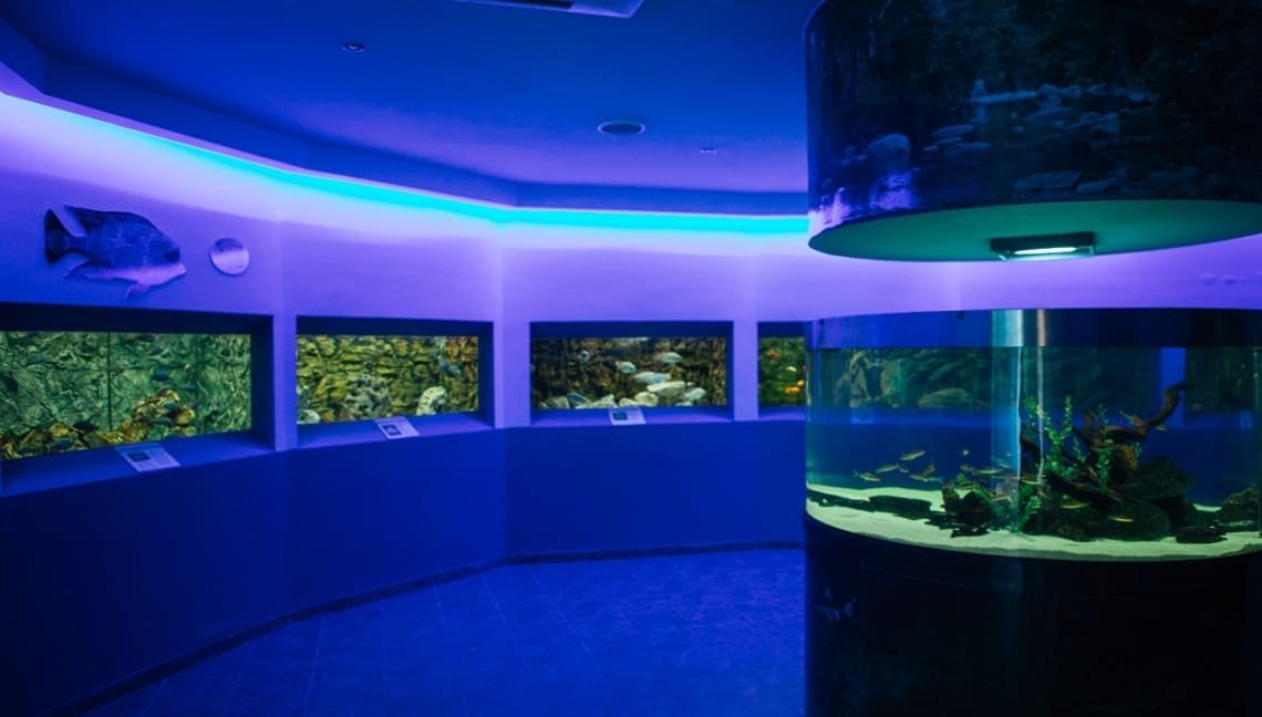 Океанический аквариум